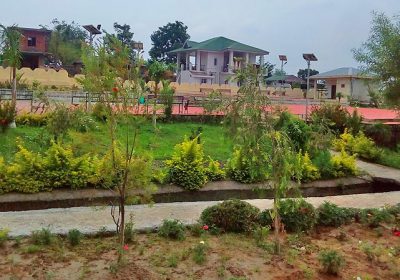 land for sale in Dari, Dharamshala, H.P