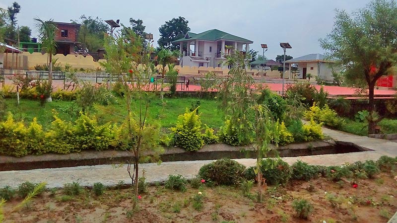 land for sale in Dari, Dharamshala, H.P