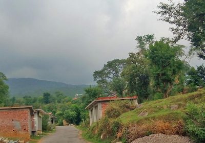 land for sale in darnu, dari, dharamshala
