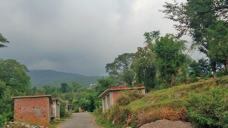 land for sale in darnu, dari, dharamshala