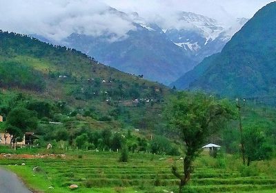 plots for sale in dharamshala